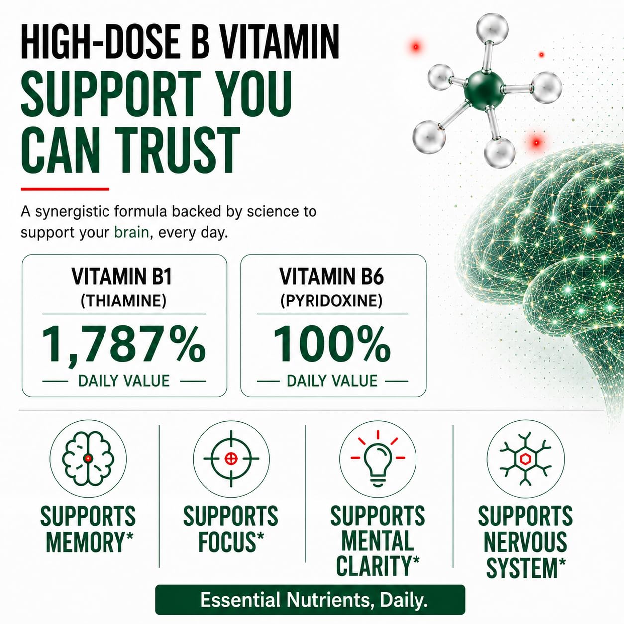 Fitina Brain Supplements for Memory and Focus with Vitamin B6 & Thiamine Tablet, 120 Tablets