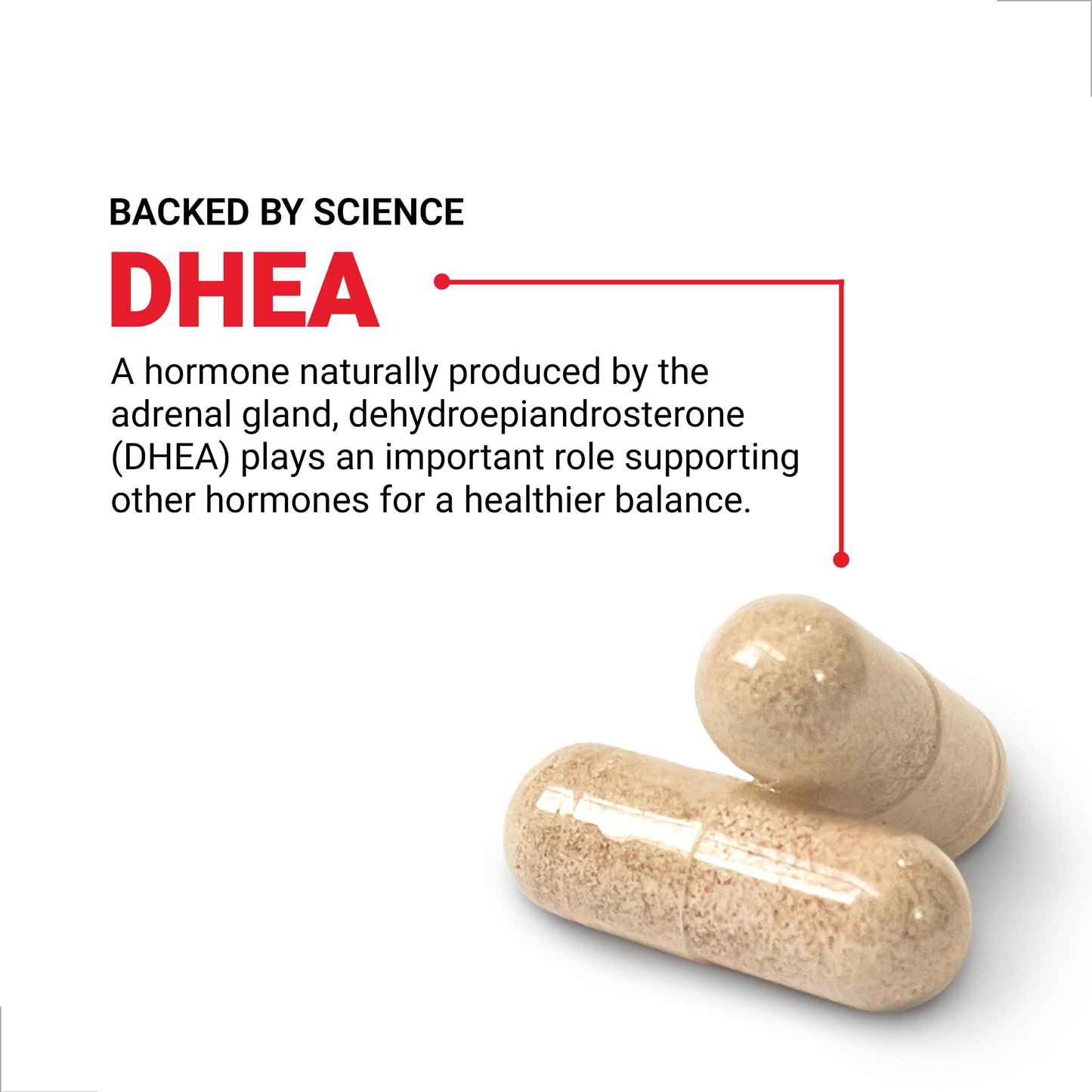 Force Factor DHEA 25mg Capsule, 100 Vegetable Capsules
