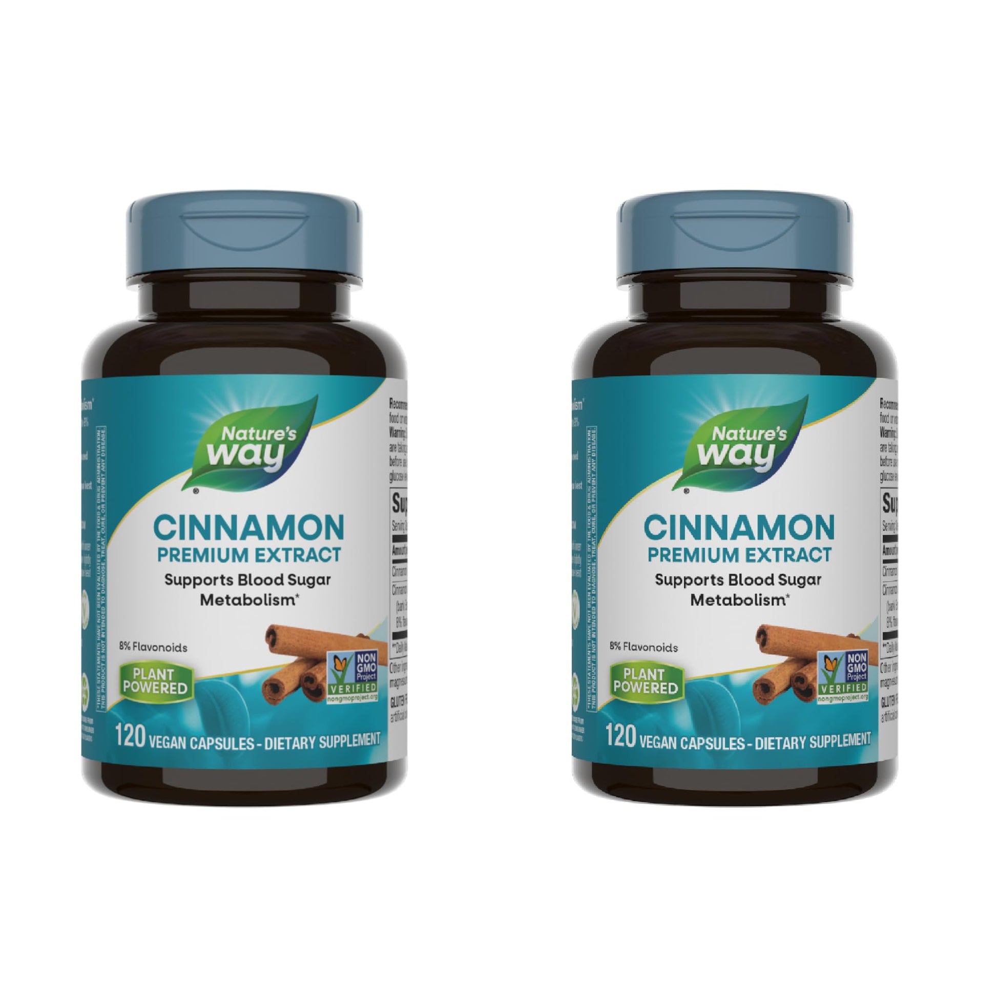 Nature's Way Cinnamon Premium Extract Capsules 240 Count