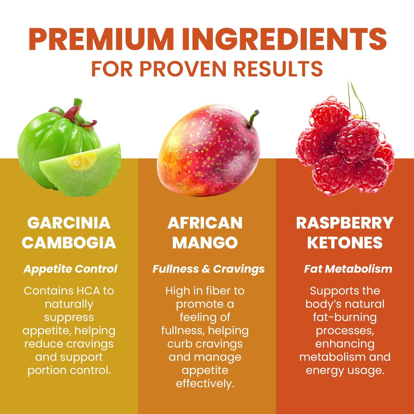 Indelo Lean Bean Capsules 180 Capsules