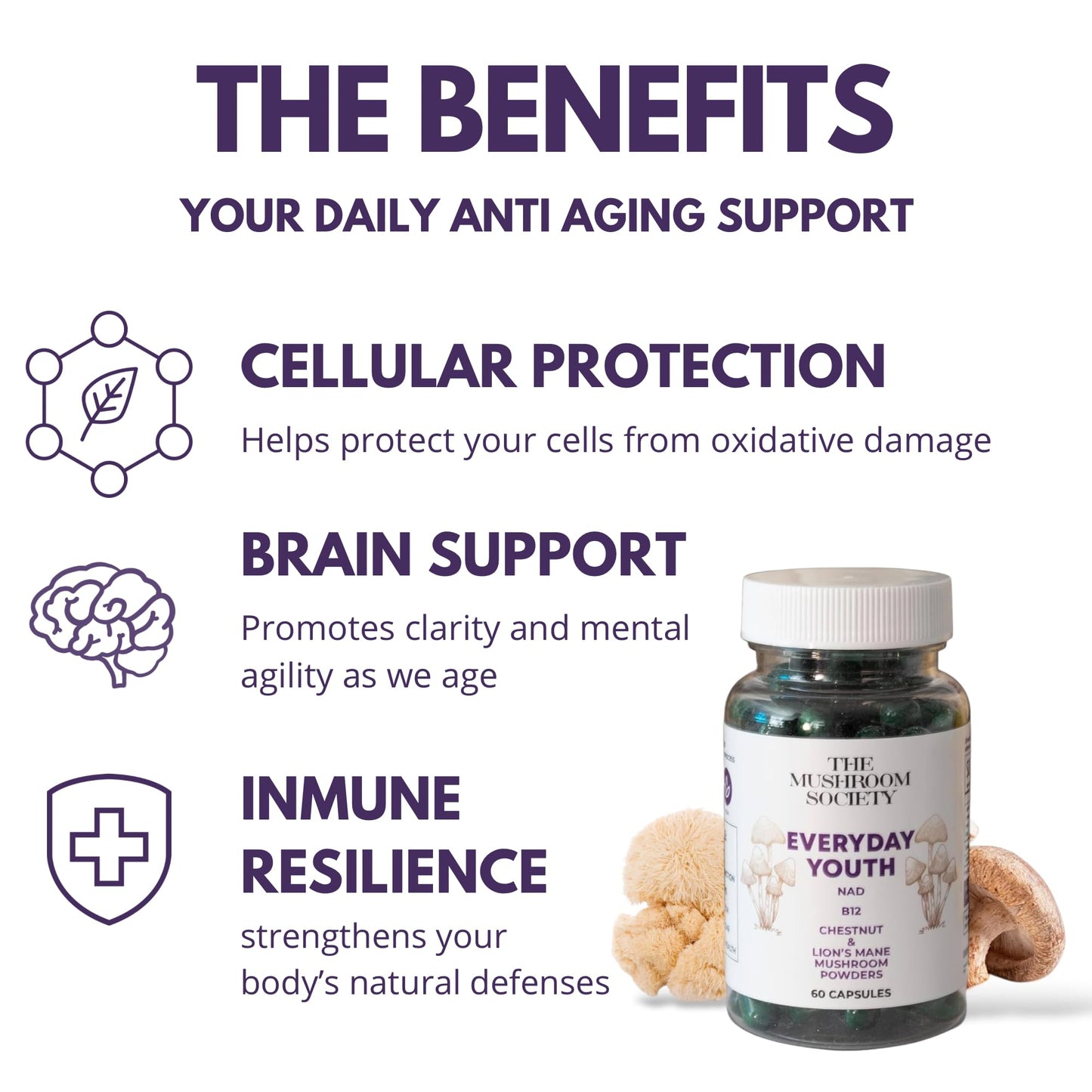The Mushroom Society Everyday Youth Anti-Aging Brain & Cellular Energy Formula with Lion’s Mane, Chestnut, NAD, B12 + Beta-Glucans, 60 Vegan Capsules