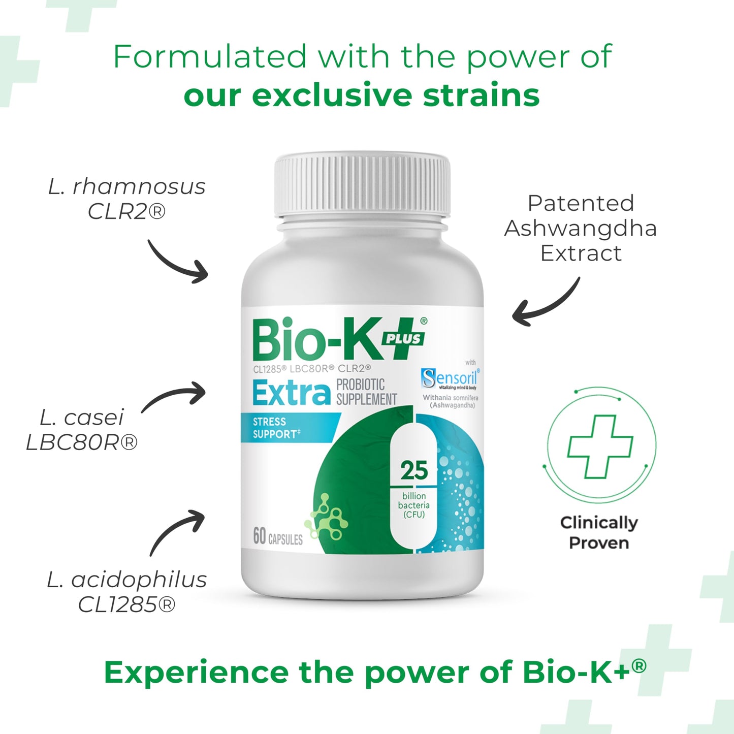 Bio-K Plus Probiotic for Stress Support with Sensoril® Ashwagandha Capsule, 60 Capsules