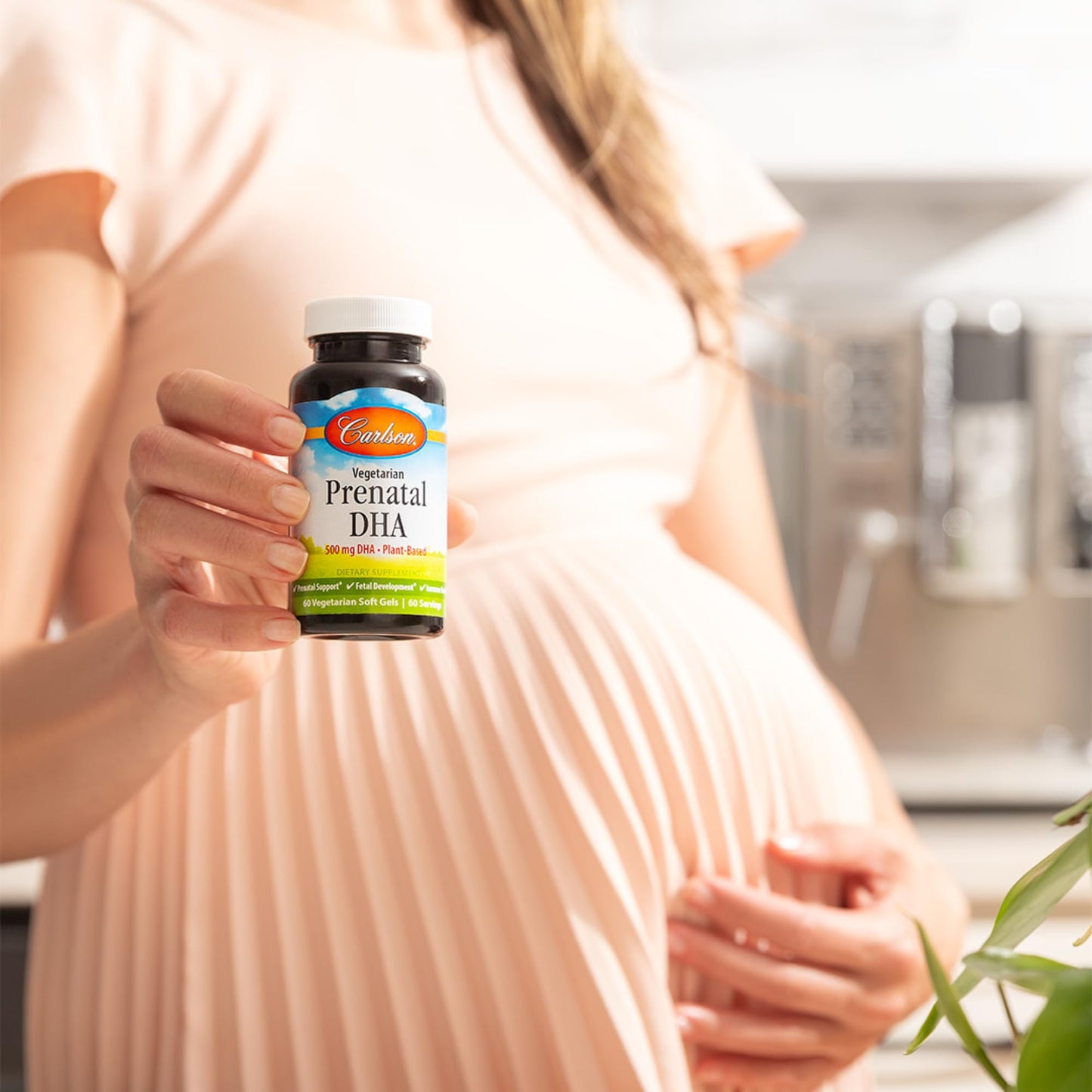 Carlson Vegetarian Prenatal DHA Softgels 60