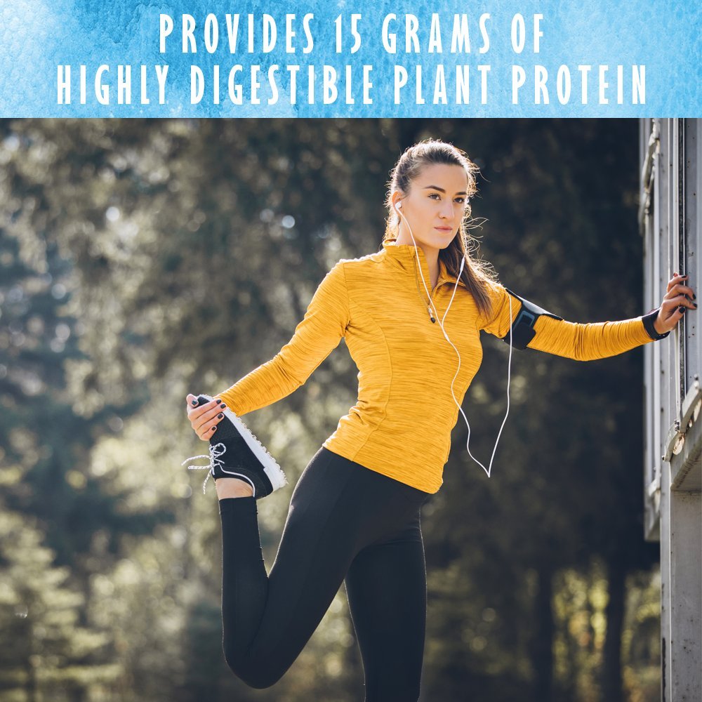 Garden of Life Organic Plant Protein Vanilla Flavor Protein Powder 9.4 Ounce