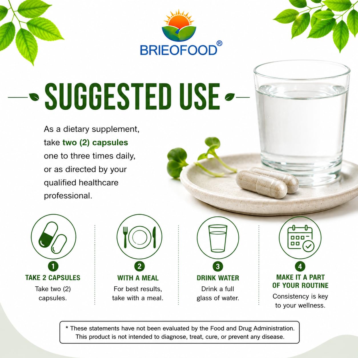 Brieofood Broccoli Sprout Extract 4:1 1000 mg Per Serving 240 Capsules