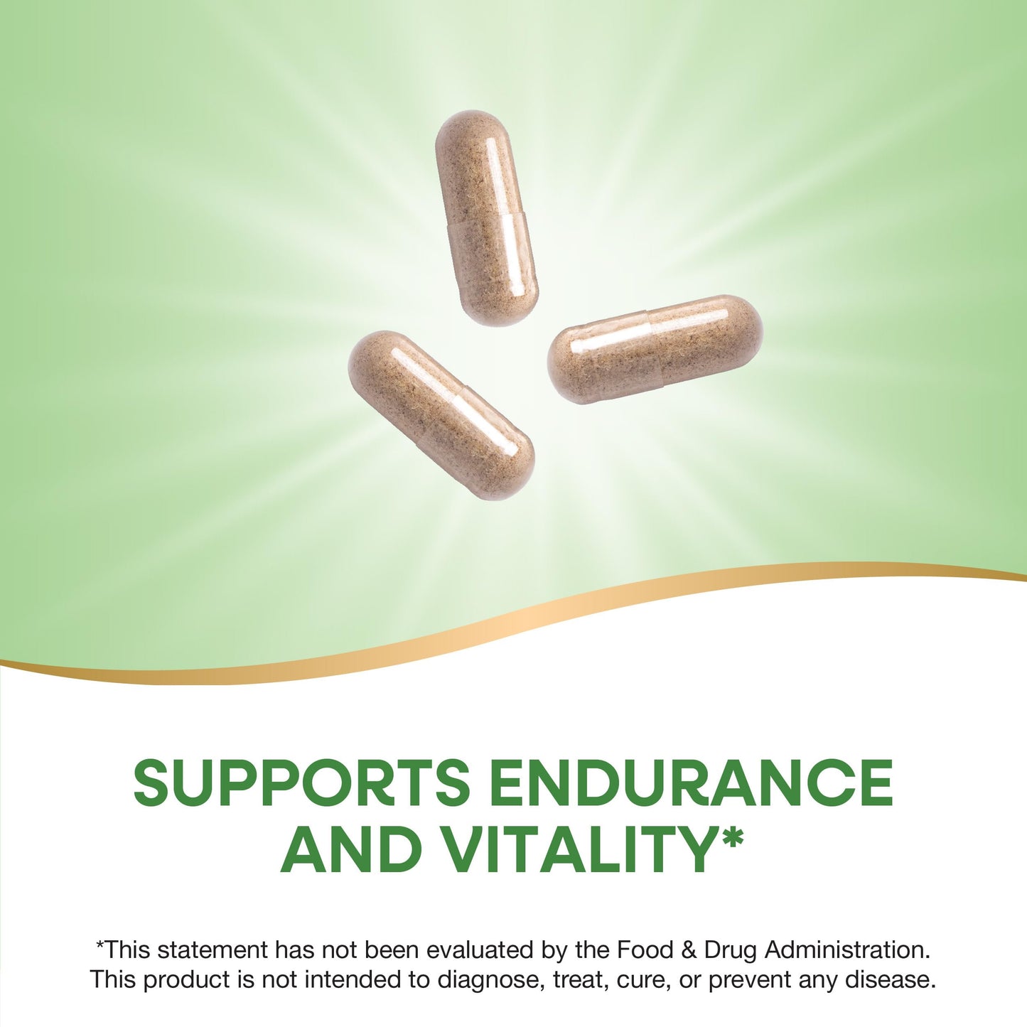 Nature's Way Premium Herbal Siberian Eleuthero Root Supplement Capsules, 180 Capsules