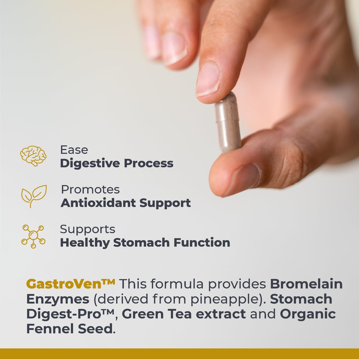 Premier Research Labs GastroVen - Digestive Enzymes for Women & Men, Digestive Health Supplement, Supports Healthy Gut Microbiome w/Bromelain, Ginger Capsule 60
