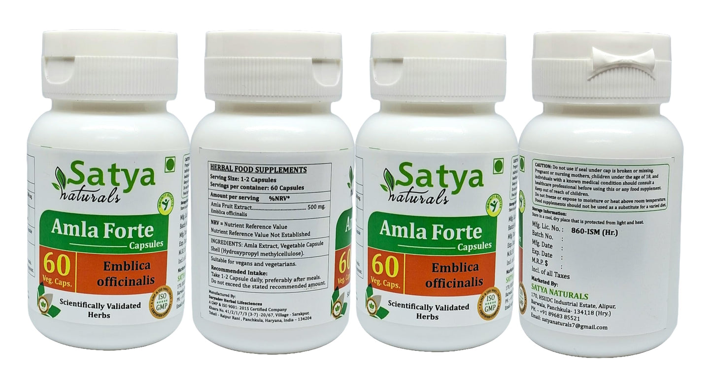 Satya Naturals Amla Forte Capsules 500 mg, 240 Capsules