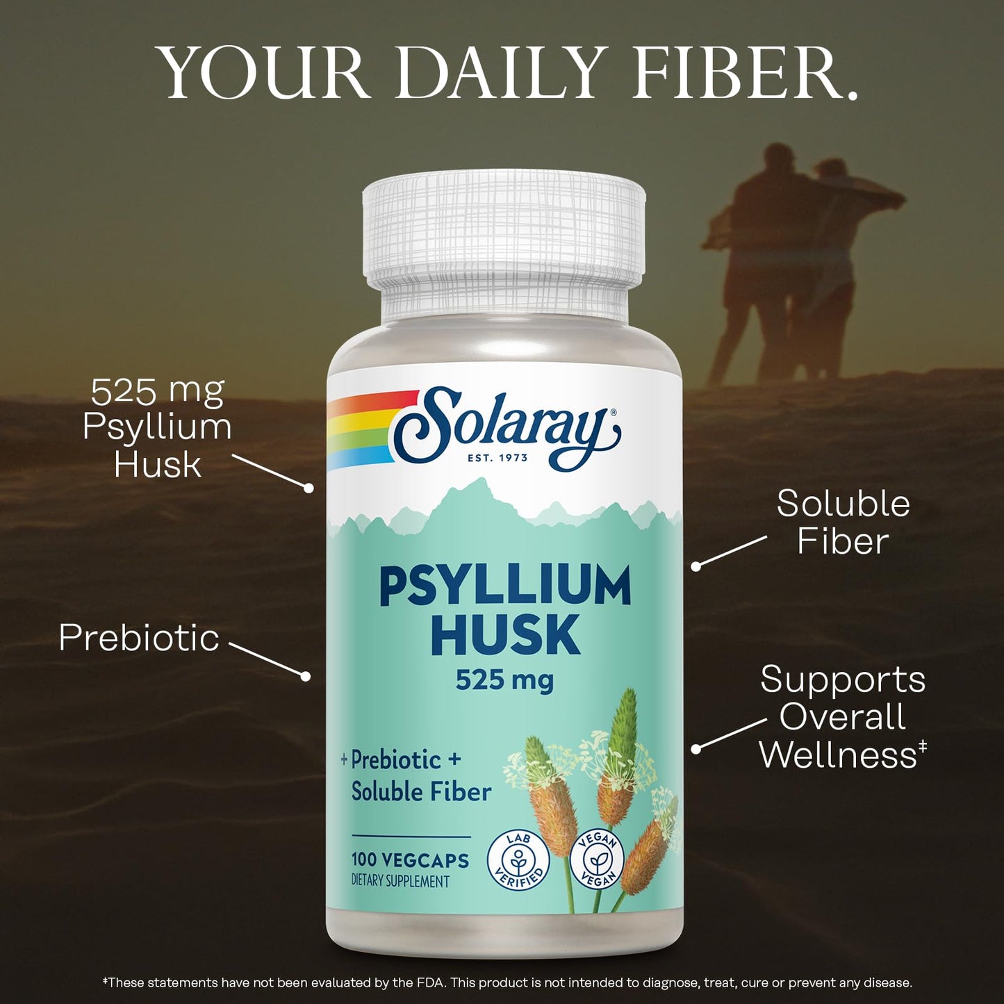 SOLARAY Psyllium Husk Capsules 100 Capsules