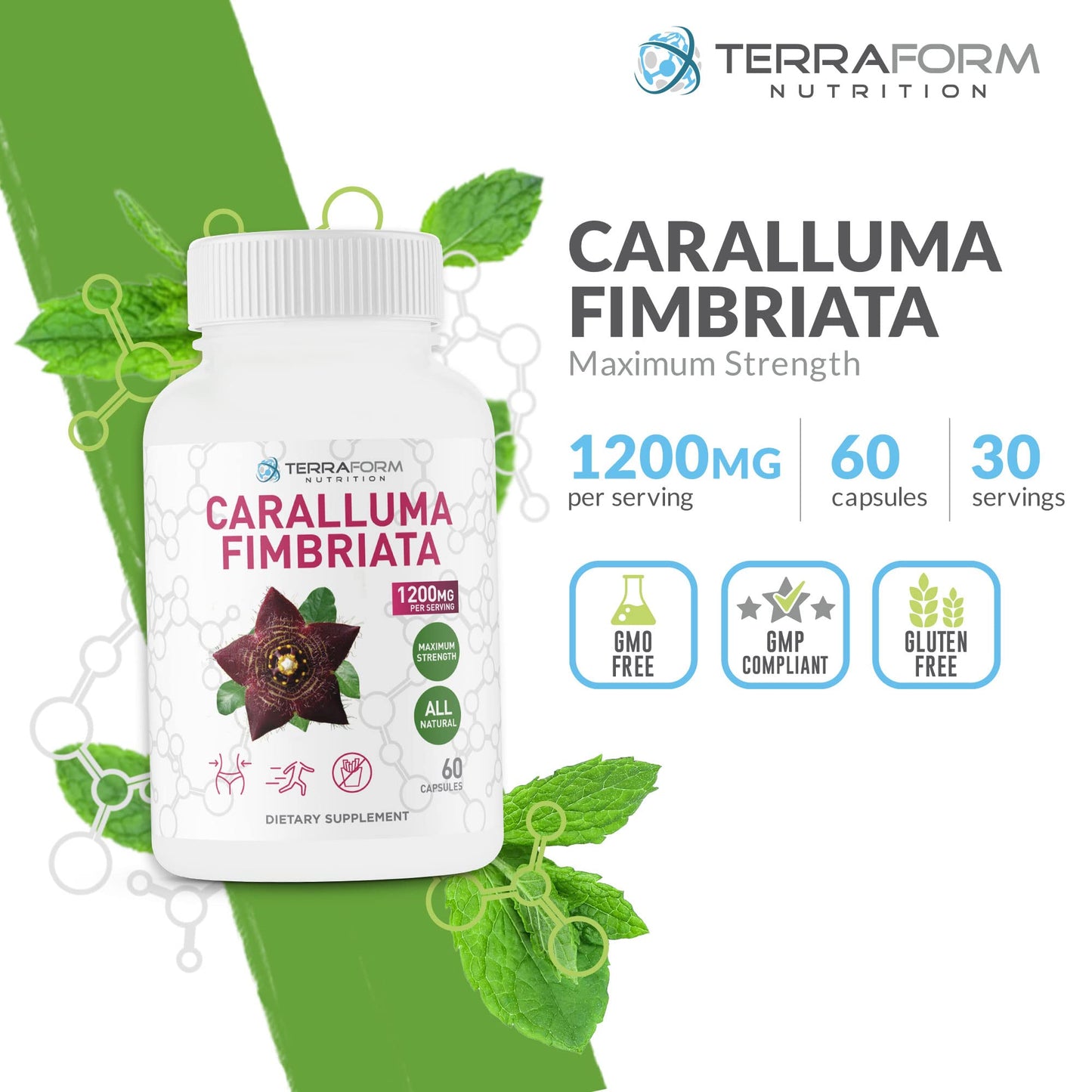 TerraForm Nutrition Caralluma Fimbriata Capsule 60 Count