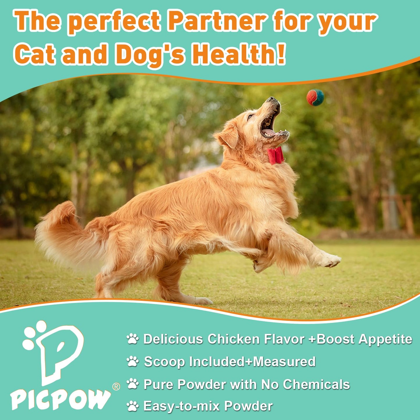 PICPOW Probiotic Tablet for Dogs & Cats, 10 Billion CFU, with Digestive Enzymes & Prebiotics, Digestive Health & Immune Support, 1 Tablet