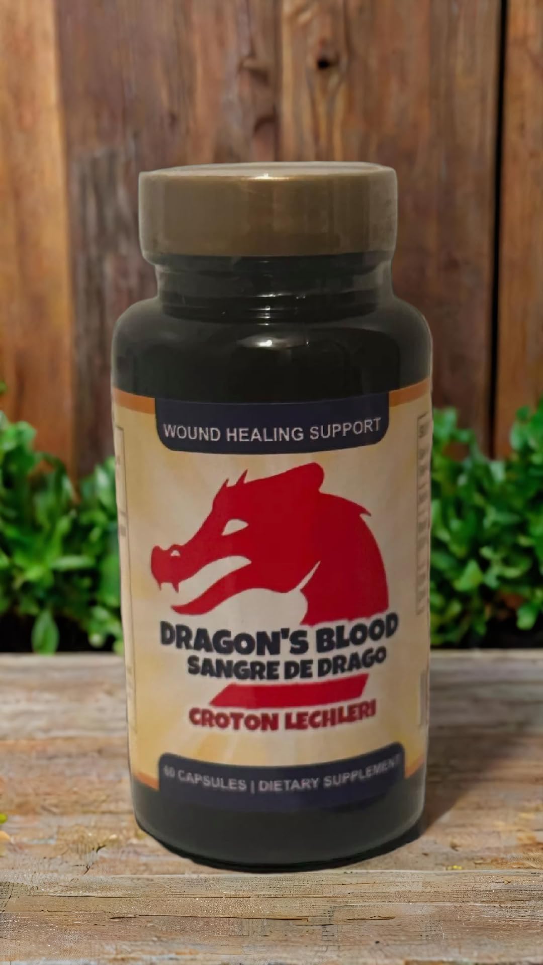 Generic Dragon's Blood Resin Extract Croton Lechleri Sangre de Drago (Sangre de Grado) Digestive Health Supplement Capsules, 60 Count