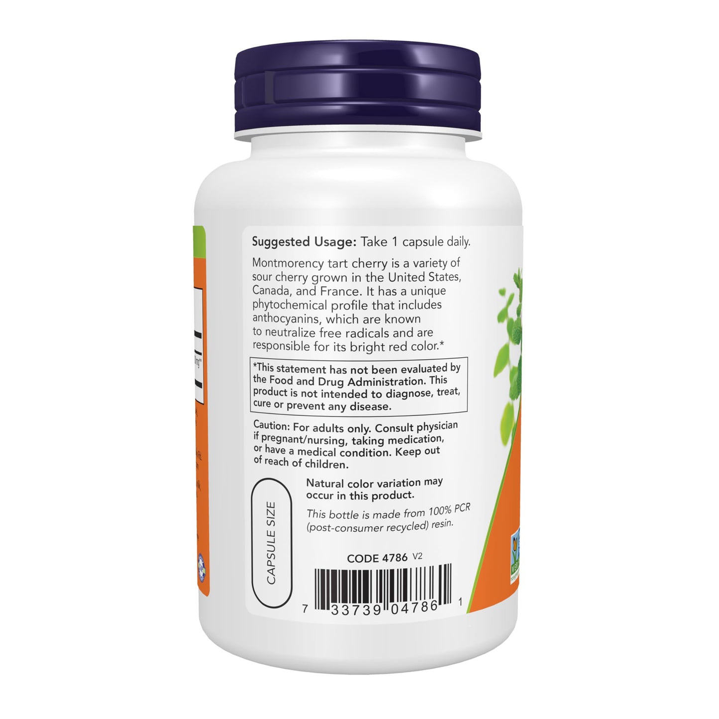 NOW Foods Tart Cherry (Prunus cerasus) 500 mg, 50:1 Concentrate Capsules, 90 Count