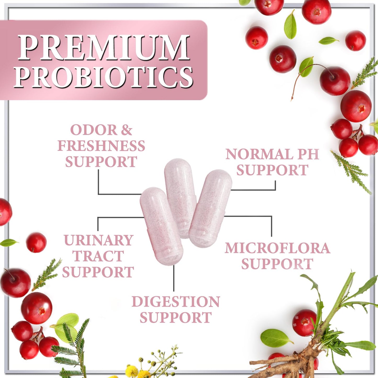 Hello Lovely! Probiotics for Women with Cranberry, 16 Premium Strains for pH Balance, Digestive Health, Vaginal & Immune Support, Capsules, 60 Count