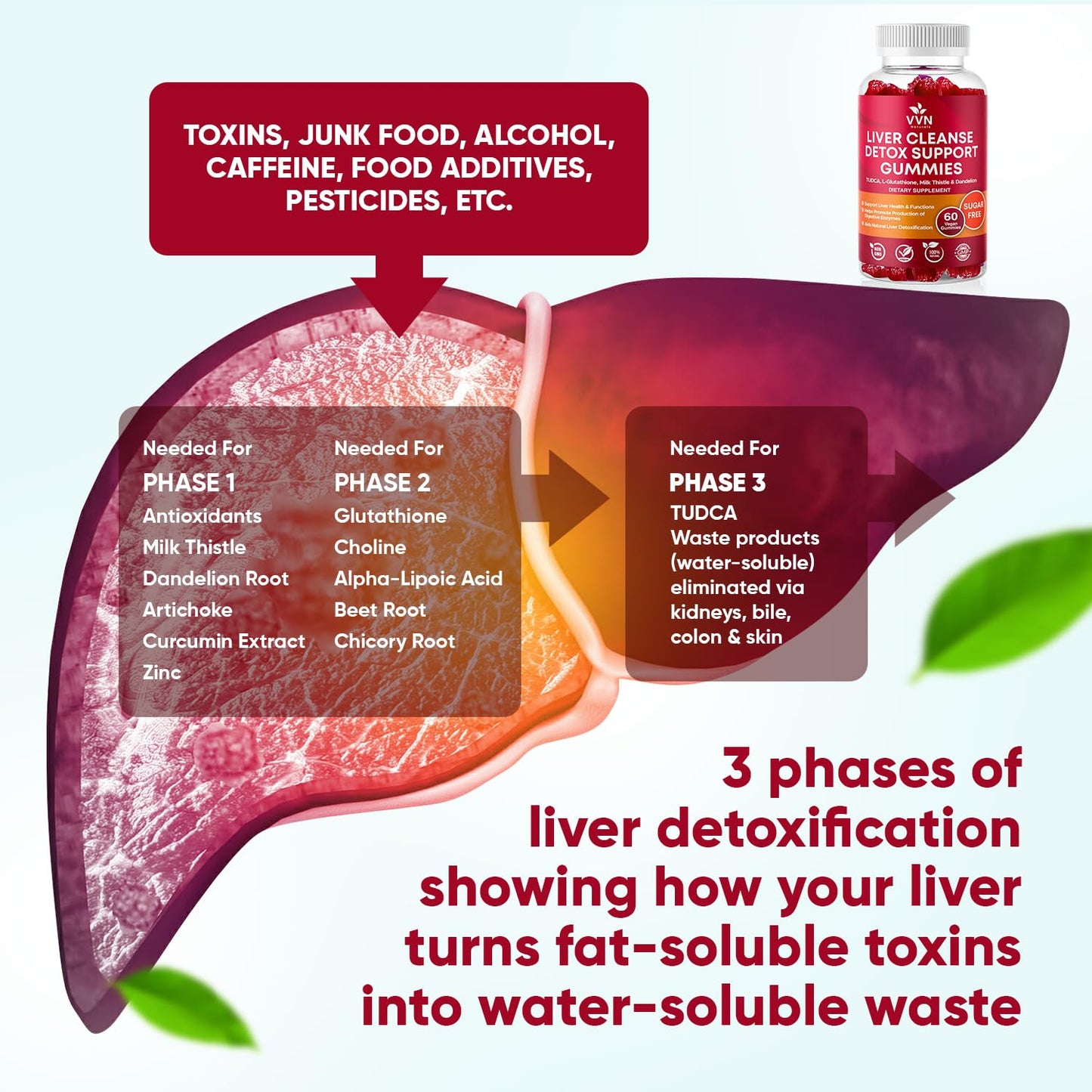 VitaVida Liver Cleanse Detox & Repair Support Supplement Gummy 60 Count
