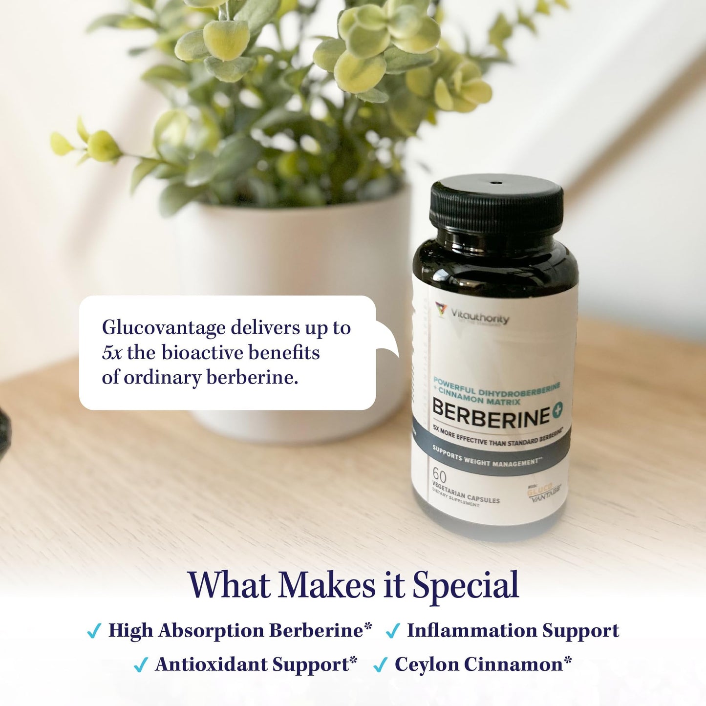 Vitauthority Berberine Supplement with Ceylon Cinnamon Capsule 60 Count