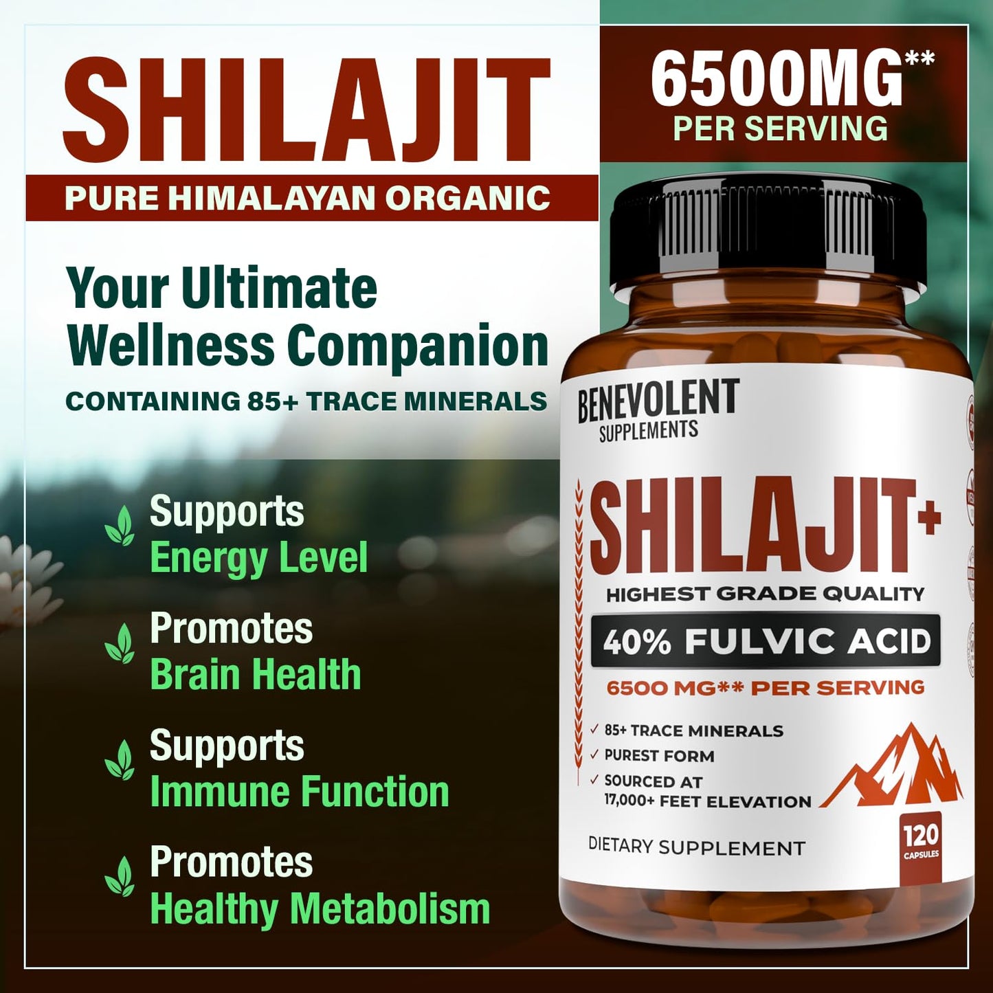 Benevolent Nourishment Shilajit 6500mg Capsules, 120 Count