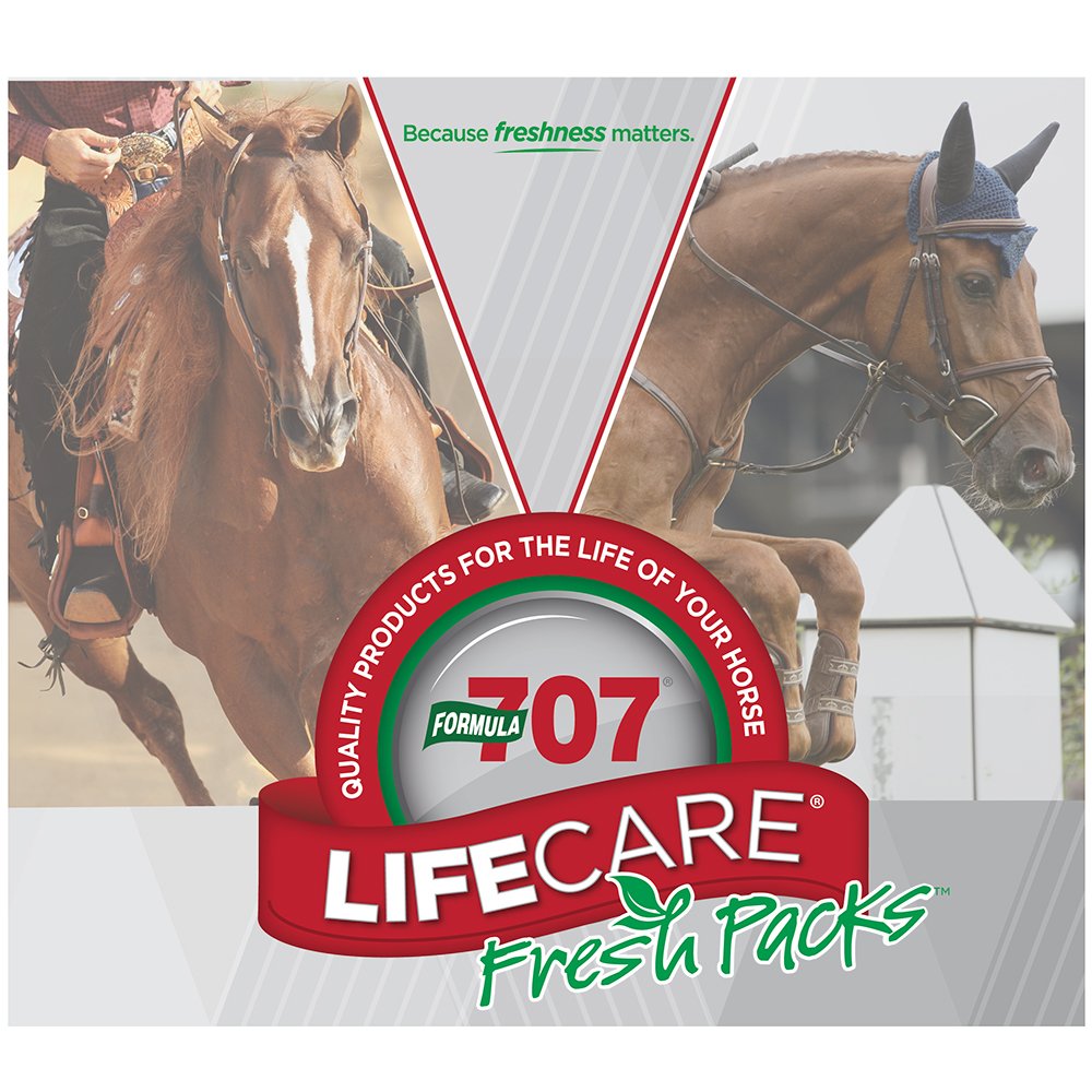 Formula 707 Joint 6in1 + Daily Essentials Combo Fresh Packs Equine Supplement Powder, 1