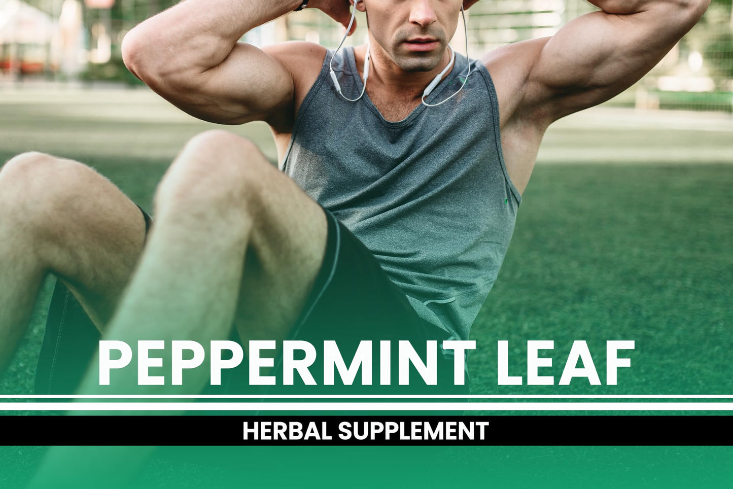 PURE ORIGINAL INGREDIENTS Peppermint Leaf Capsules 365