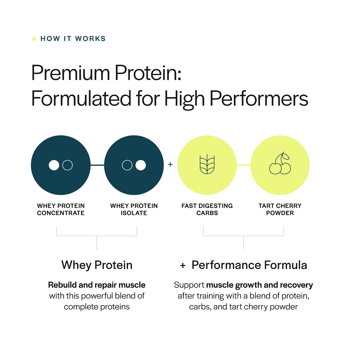 Gainful Performance Whey Protein Powder & Sweet Treat Flavor Bundle, 22.2