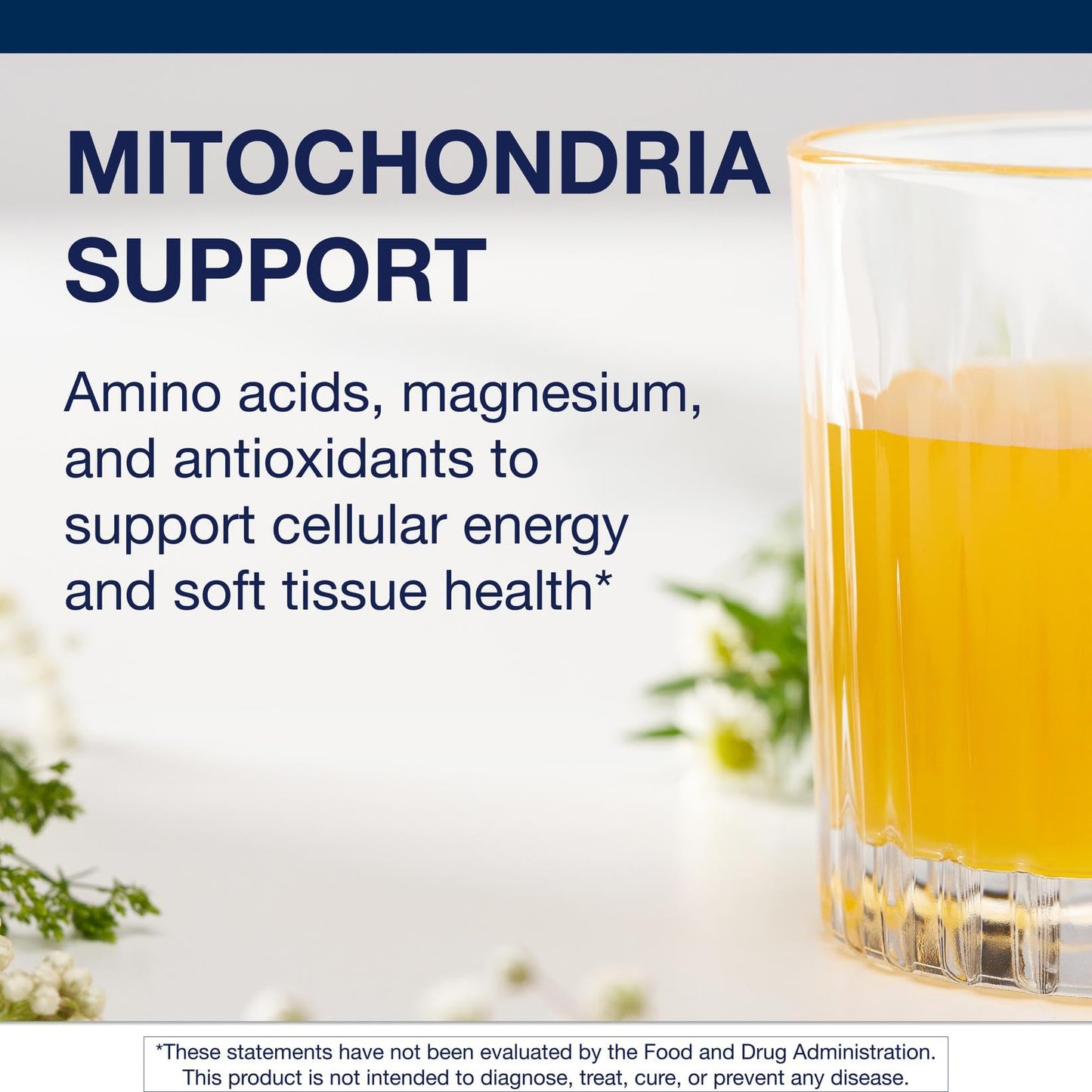 Metagenics MitoVive Mitochondria & Energy Support Supplement with Amino Acids, Magnesium, L-Carnitine & Taurine - Supports Cellular Energy, Muscle Recovery & Stress Response, Powder, 16.93 oz