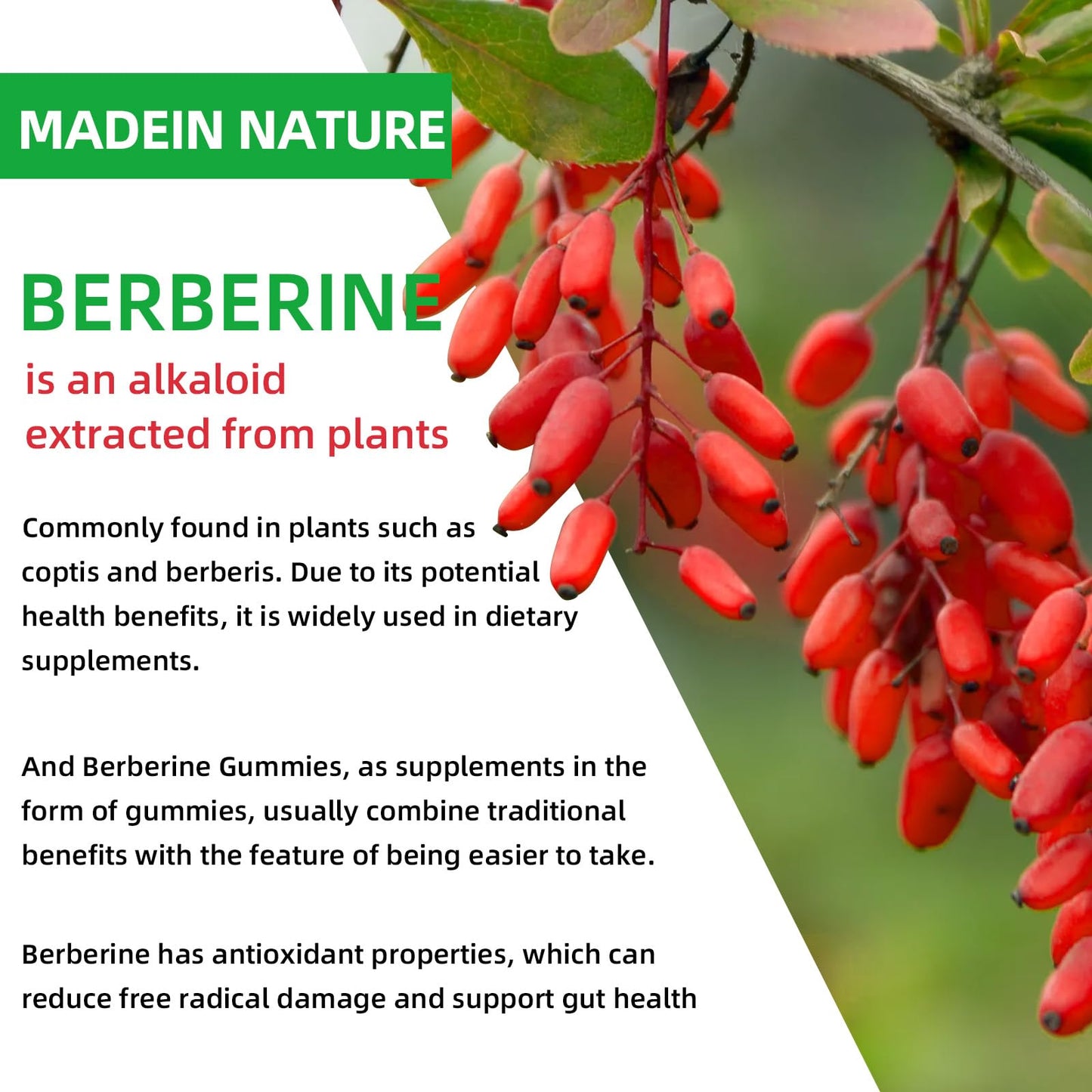 HEALOADING Berberine Gummies with Ceylon Cinnamon, 60 Gummies