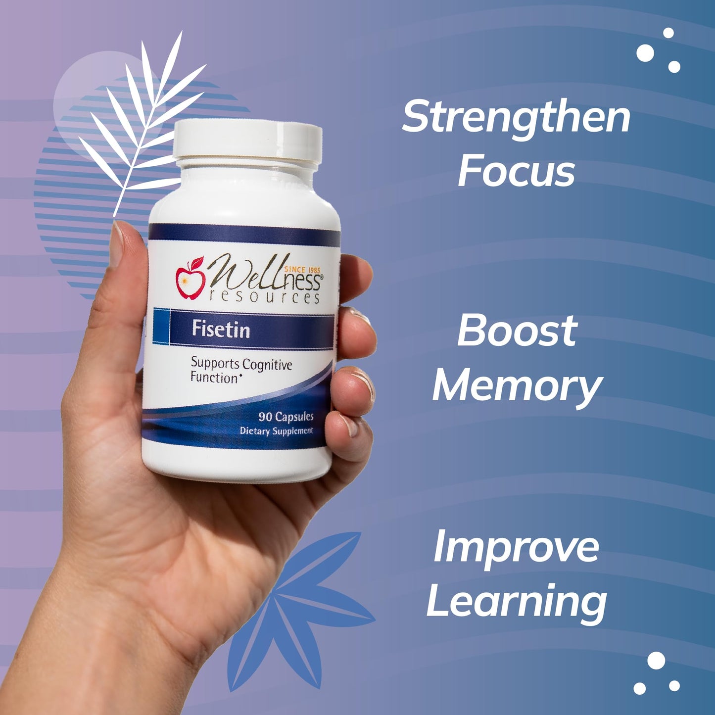 Wellness Resources Fisetin Capsule 90 Capsules