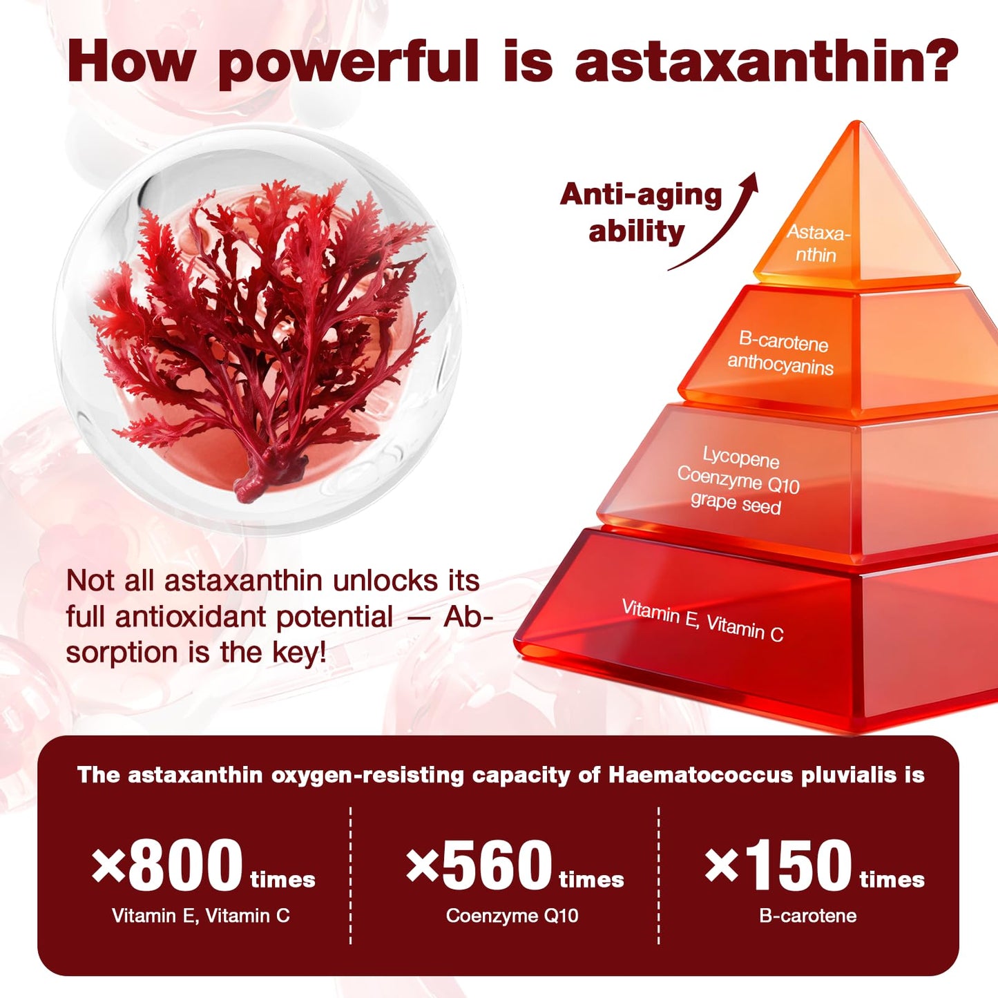 letollhold Astaxanthin 12mg Softgel, 150 Softgels