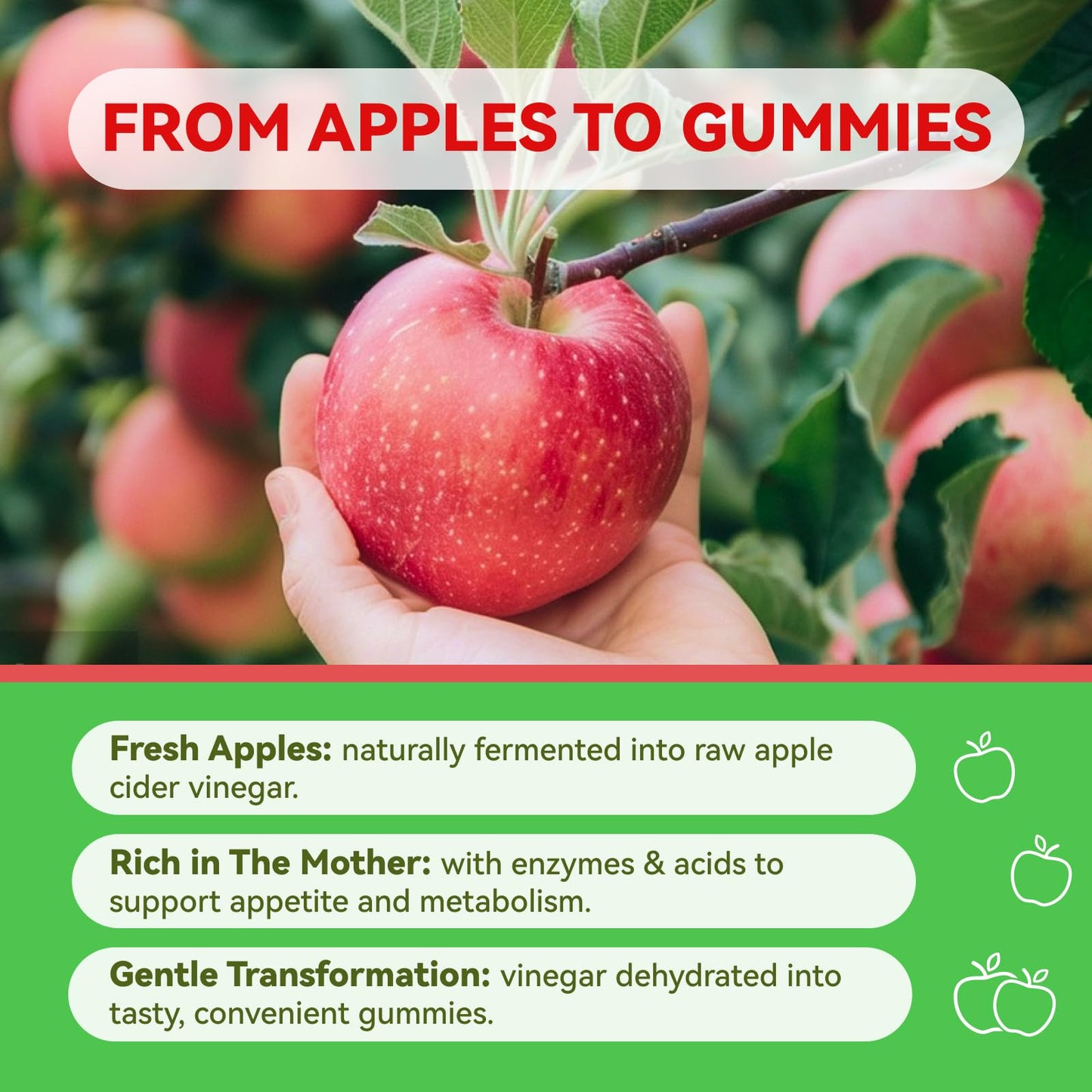 Inner Brightness Apple Cider Vinegar Gummies, 60 Count