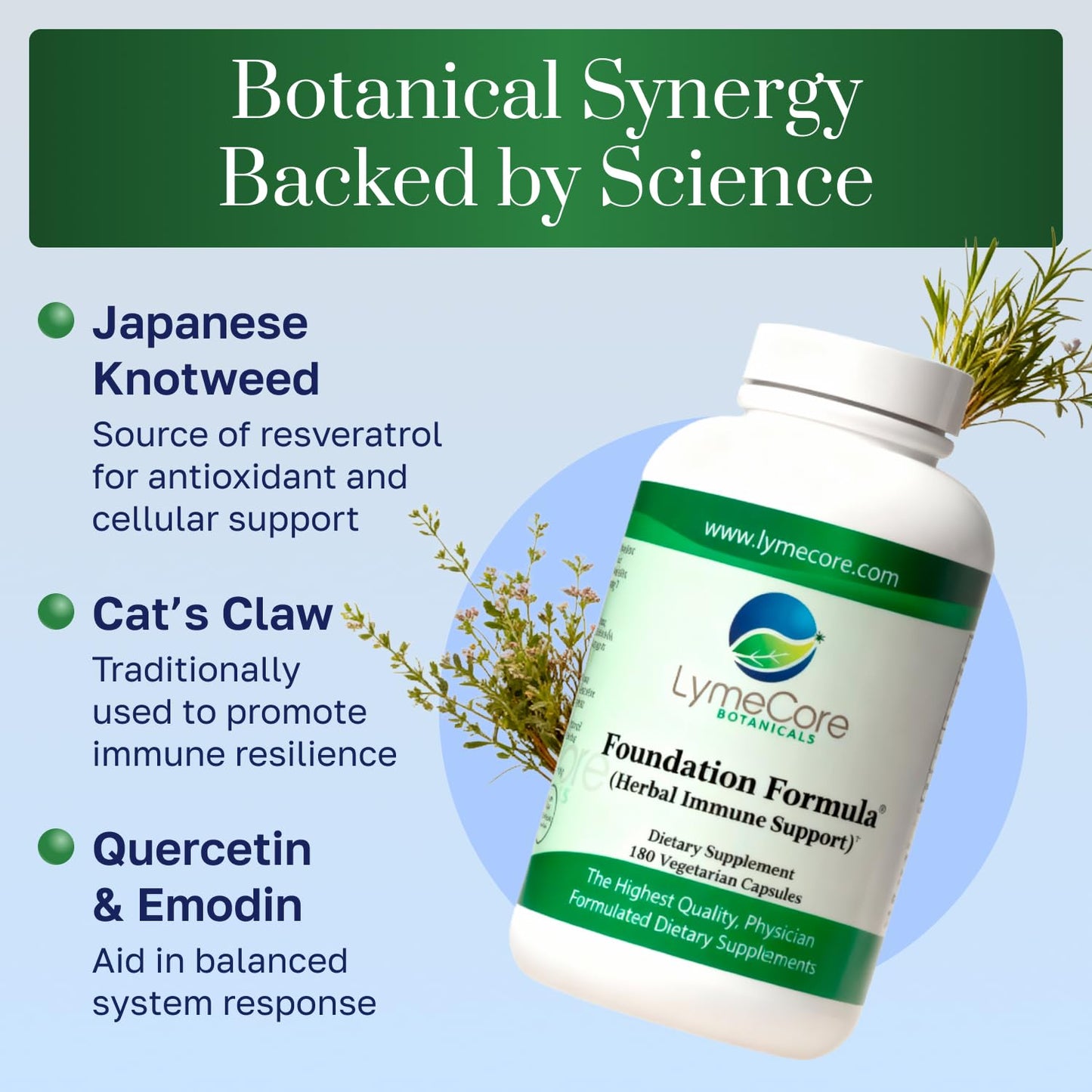 LymeCore Botanicals Foundation Formula Immune Booster with Japanese Knotweed & Cat's Claw 180 Capsules
