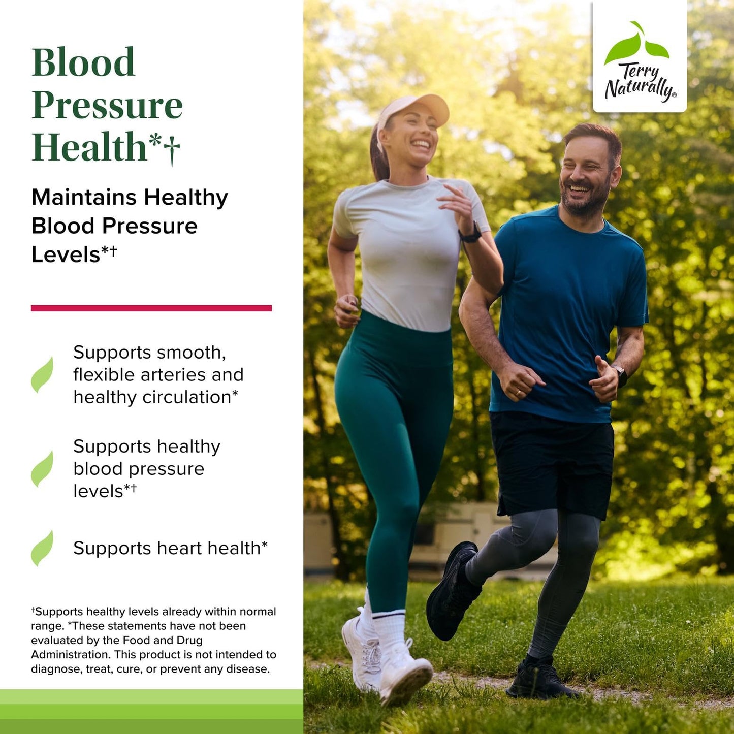 Terry Naturally Blood Pressure Health - Heart Support 60 Capsules