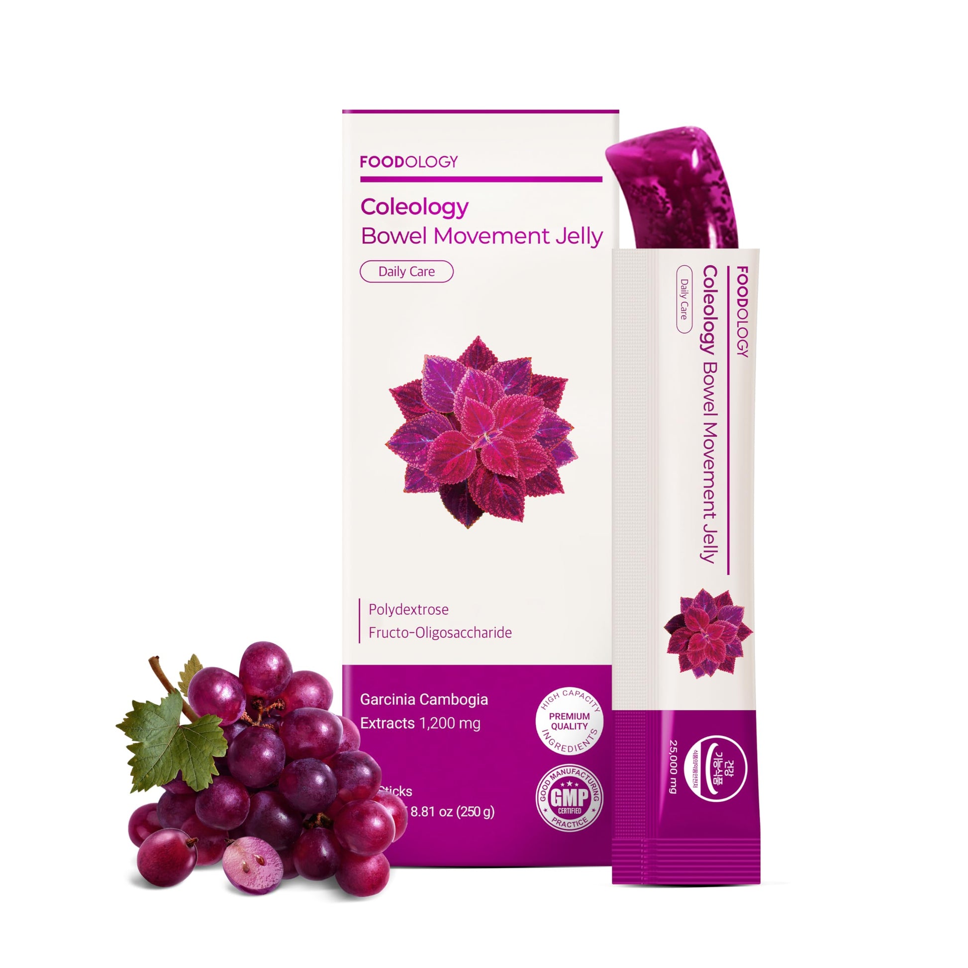 FOODOLOGY Coleology Bowel Movement Jelly (Grape & Prune) Gummy 10