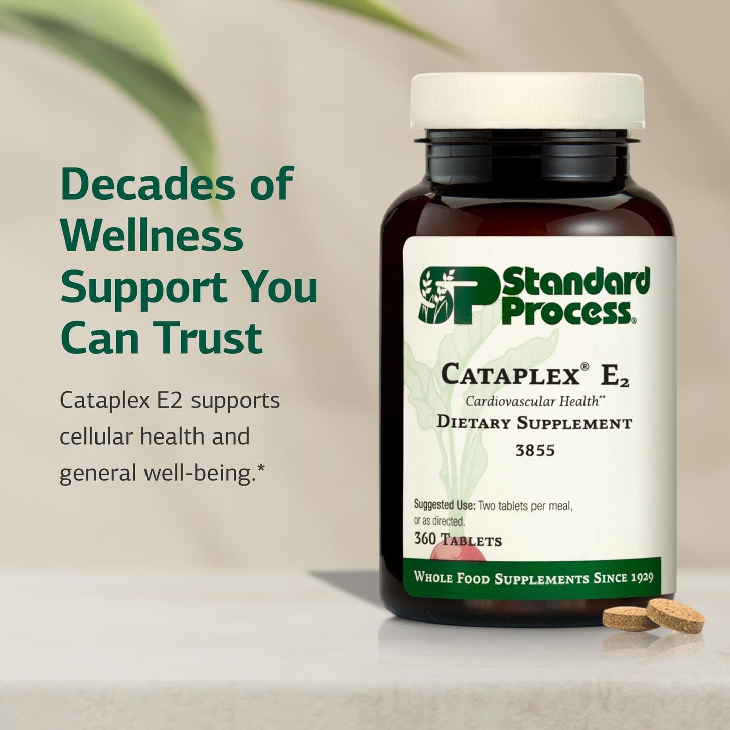 Standard Process Inc. Cataplex E2 Tablet, 360 Count