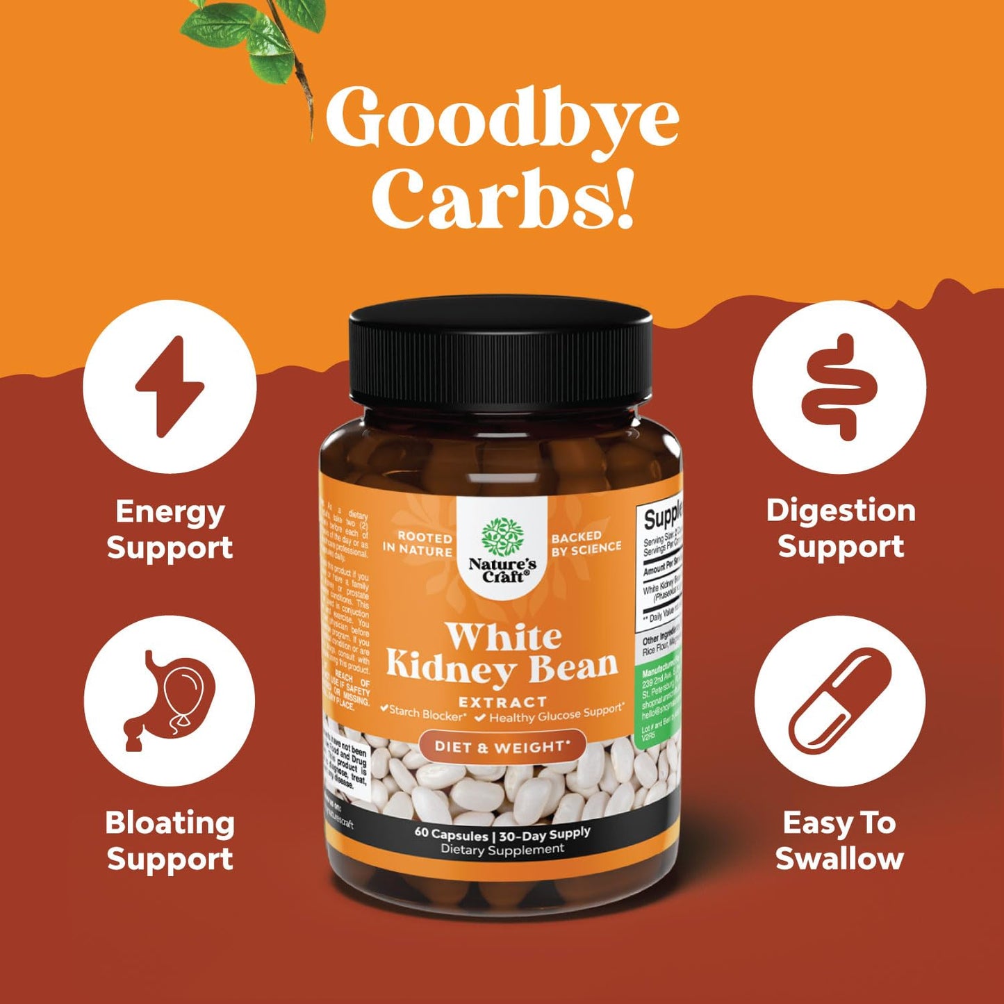 Natures Craft White Kidney Bean Extract Capsules, 60 Count