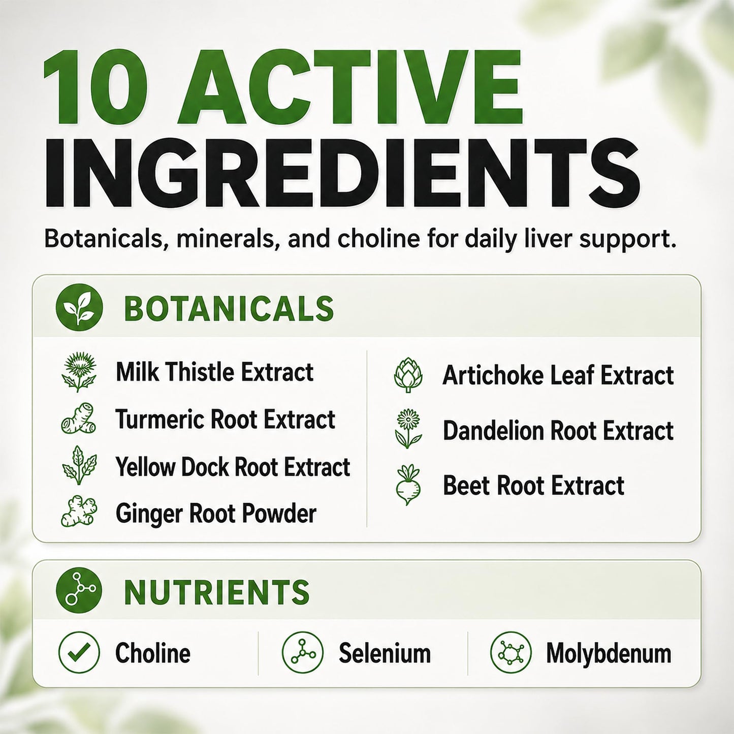Balance ONE Liver Support Supplement with Milk Thistle, Molybdenum, Dandelion Root & Choline Capsule, 60 Count