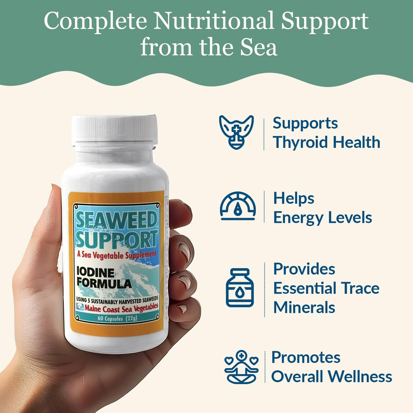 Maine Coast Sea Vegetables Seaweed Support Iodine Formula Capsule, 1 Capsule