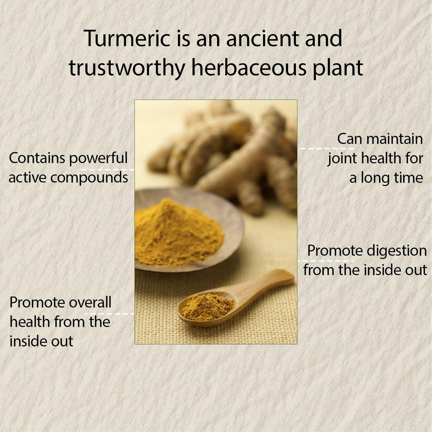 NIVELLE Pure Turmeric Curcumin Supplement Capsule 120 Capsules