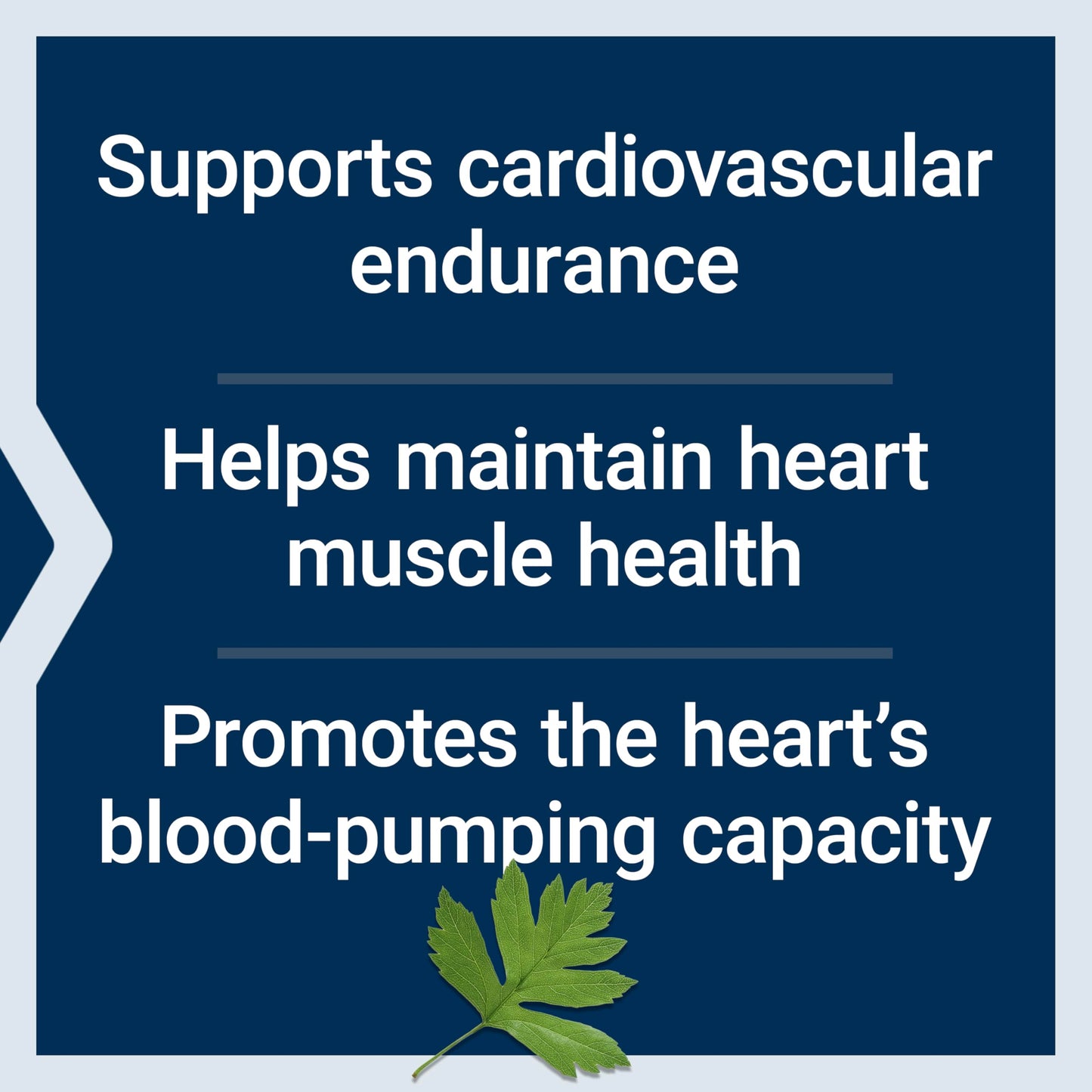 Life Extension Cardio Peak Cardiovascular Supplement Capsule, 30 Capsules