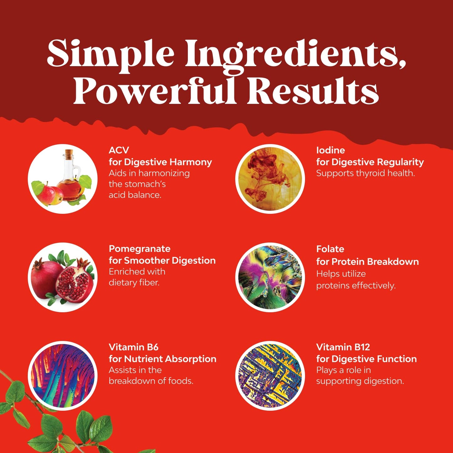 Natures Craft Apple Cider Vinegar Gummies for Weight Loss, Detox & Gut Health with B12, B6 & Pomegranate, 60 Gummies
