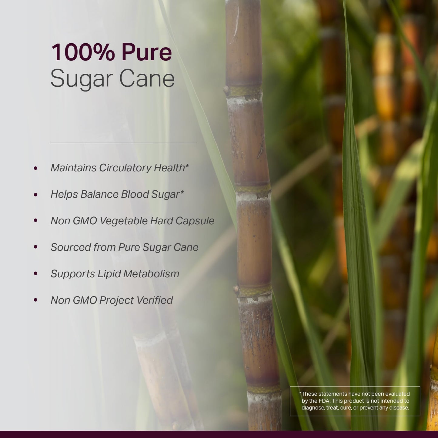 Anew Vita Policosanol Capsules 120 Capsules