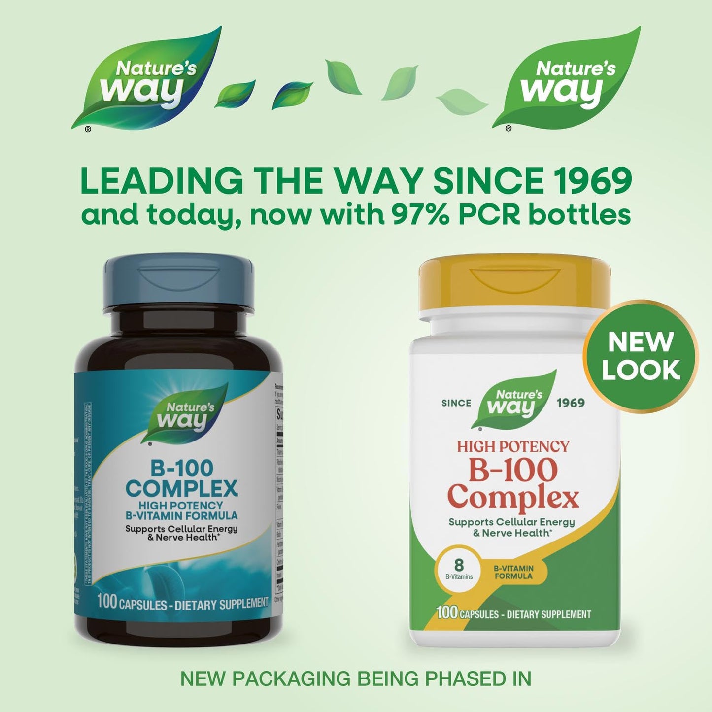 Nature's Way Vitamin B-100 Complex Capsules 100
