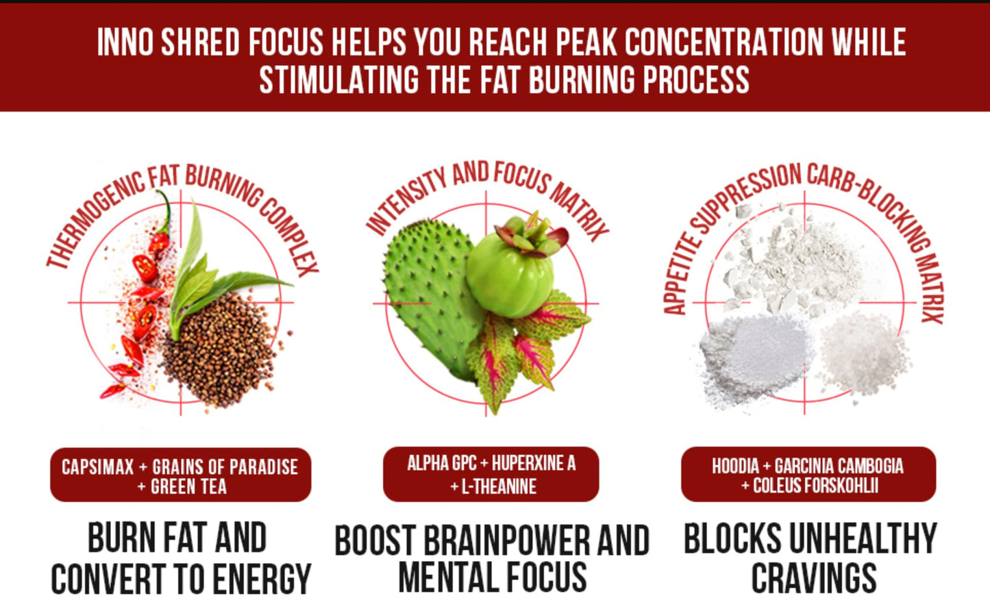 InnoSupps Shred Focus Day Time Fat Burner Capsule, 60 Capsules