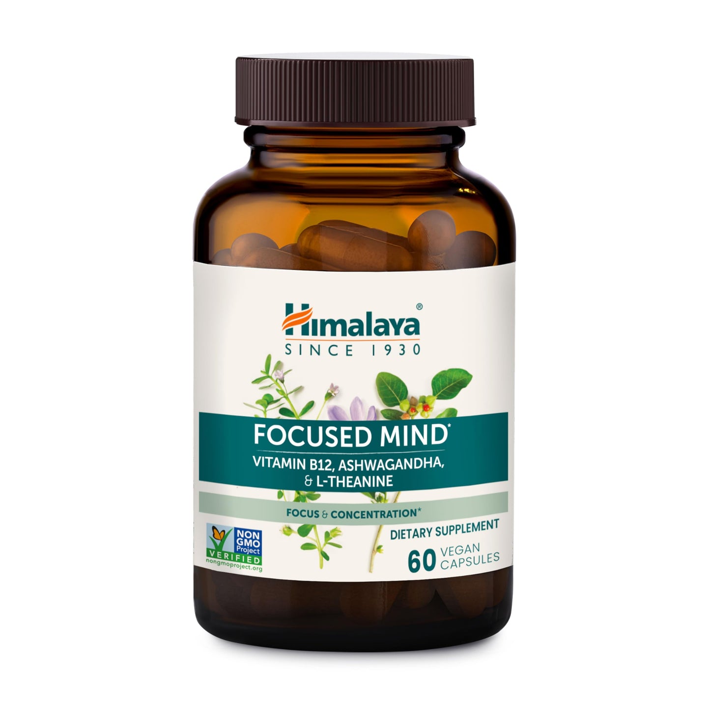 Himalaya Focused Mind Supplement Capsule, 60 Count