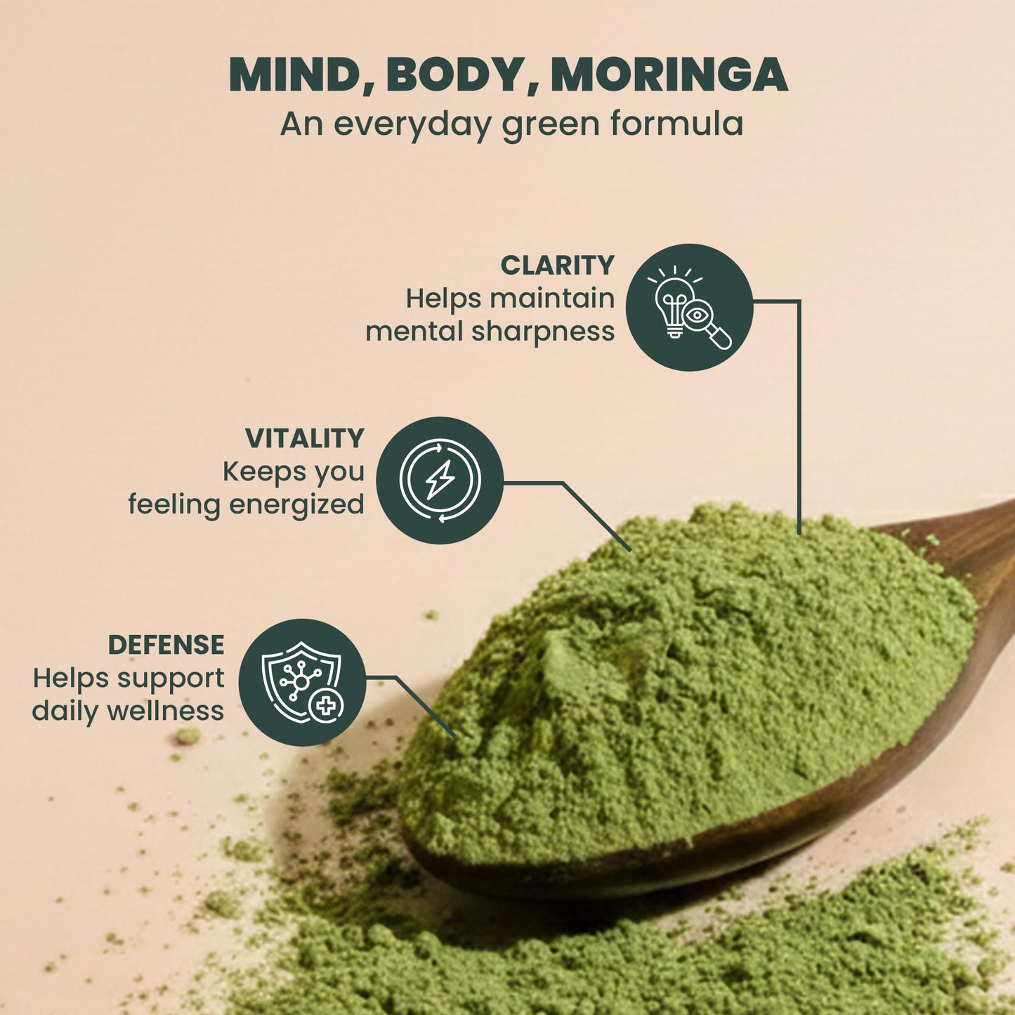 EVARA Organic Moringa Powder, 12 Ounce