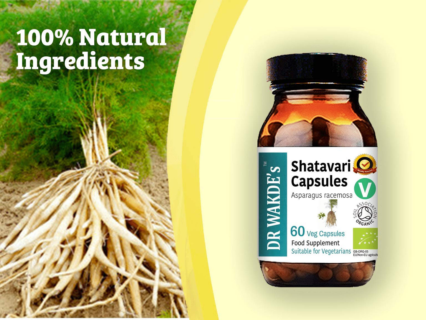 DR WAKDE's Shatavari Capsules, 1 Capsule