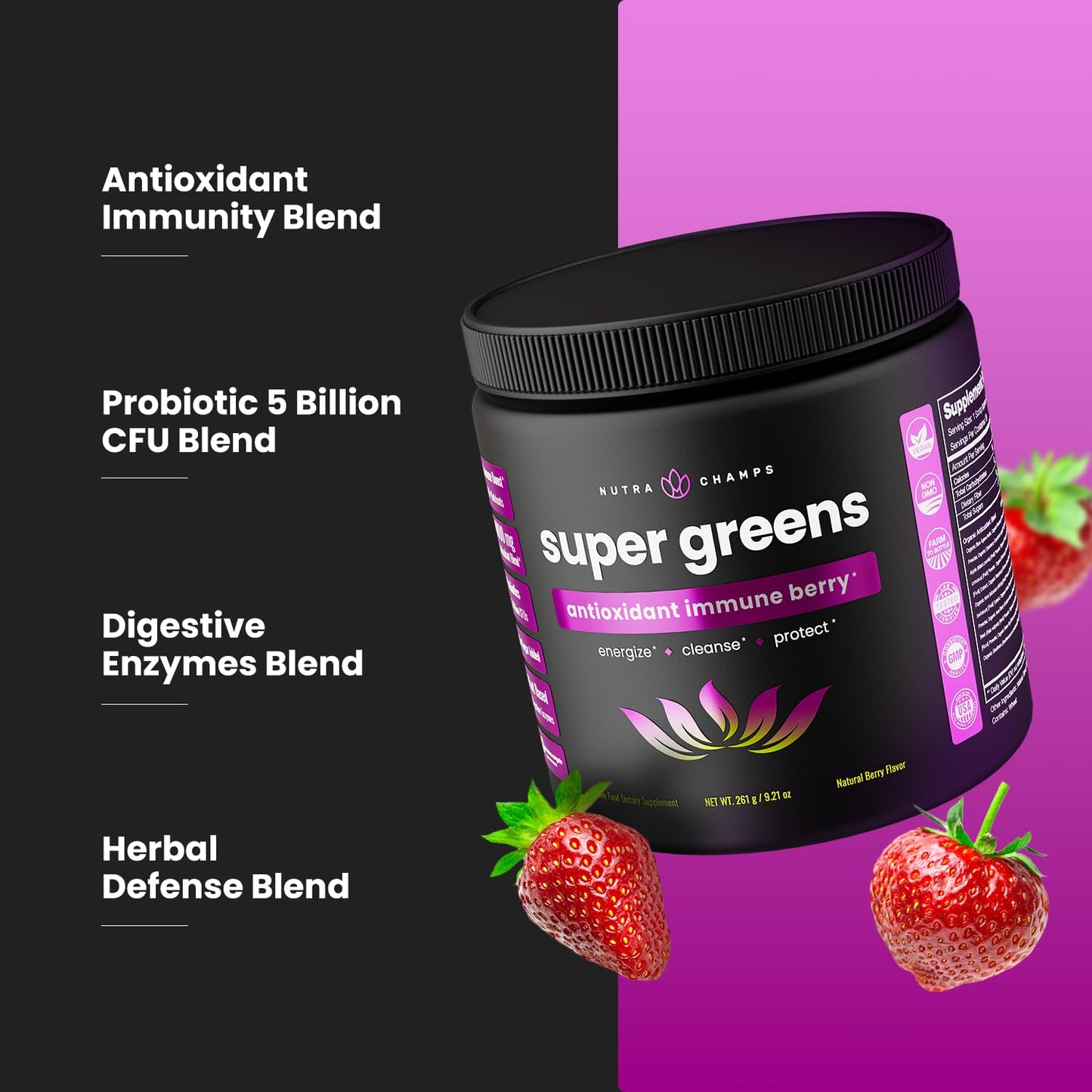 NutraChamps Super Greens Antioxidant Powder 2-Count