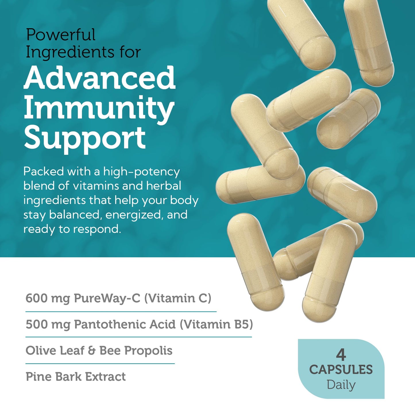 Zahler Immune Defense Immune System Support 120 Capsules