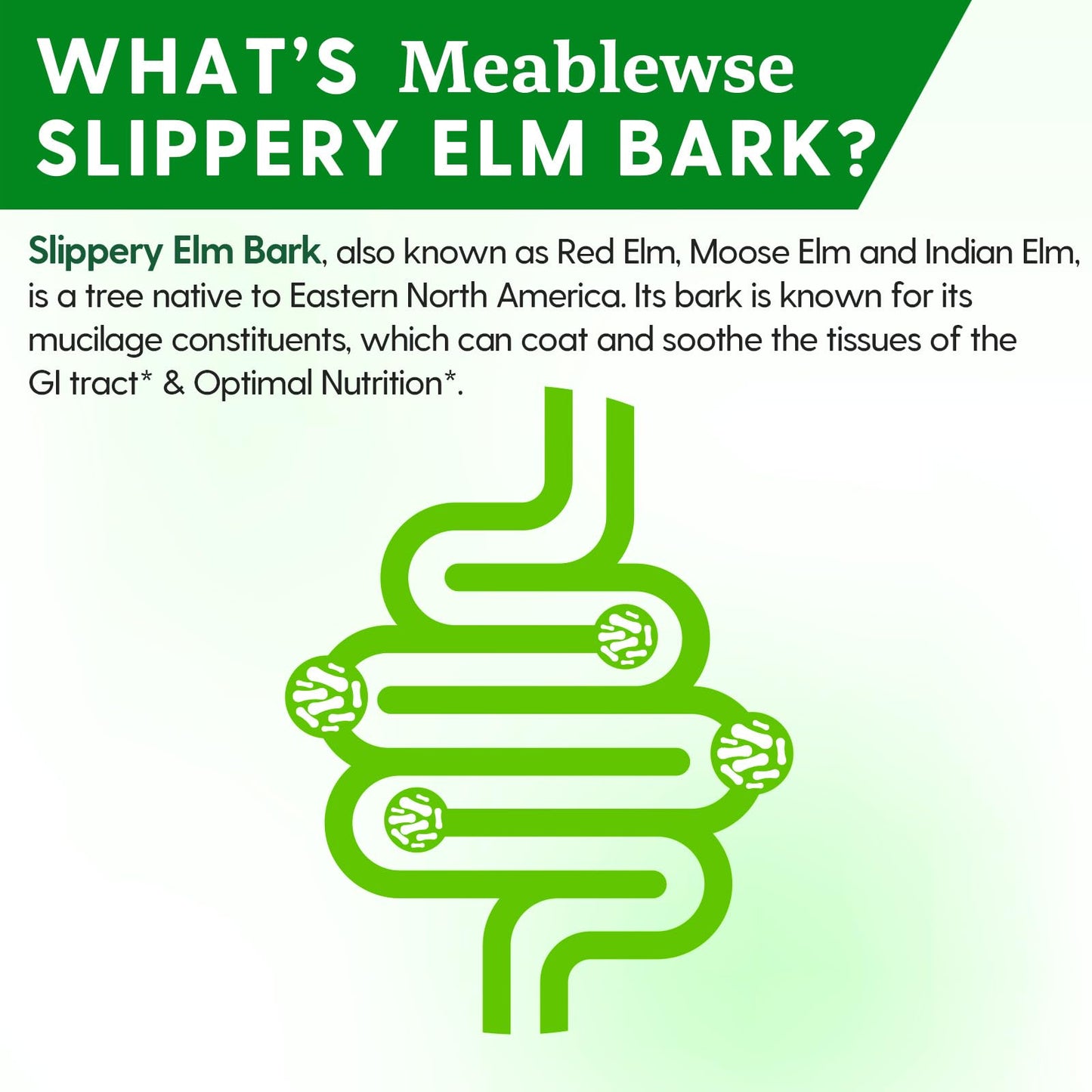 Meablewse Slippery Elm Powder, 16