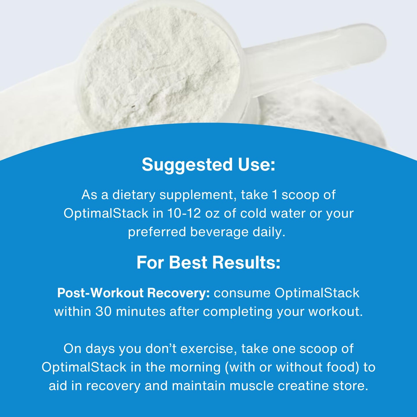 OptimalAmino OptimalStack Creatine Monohydrate, HMB, & Vitamin D3 Stack Powder 10.32 oz
