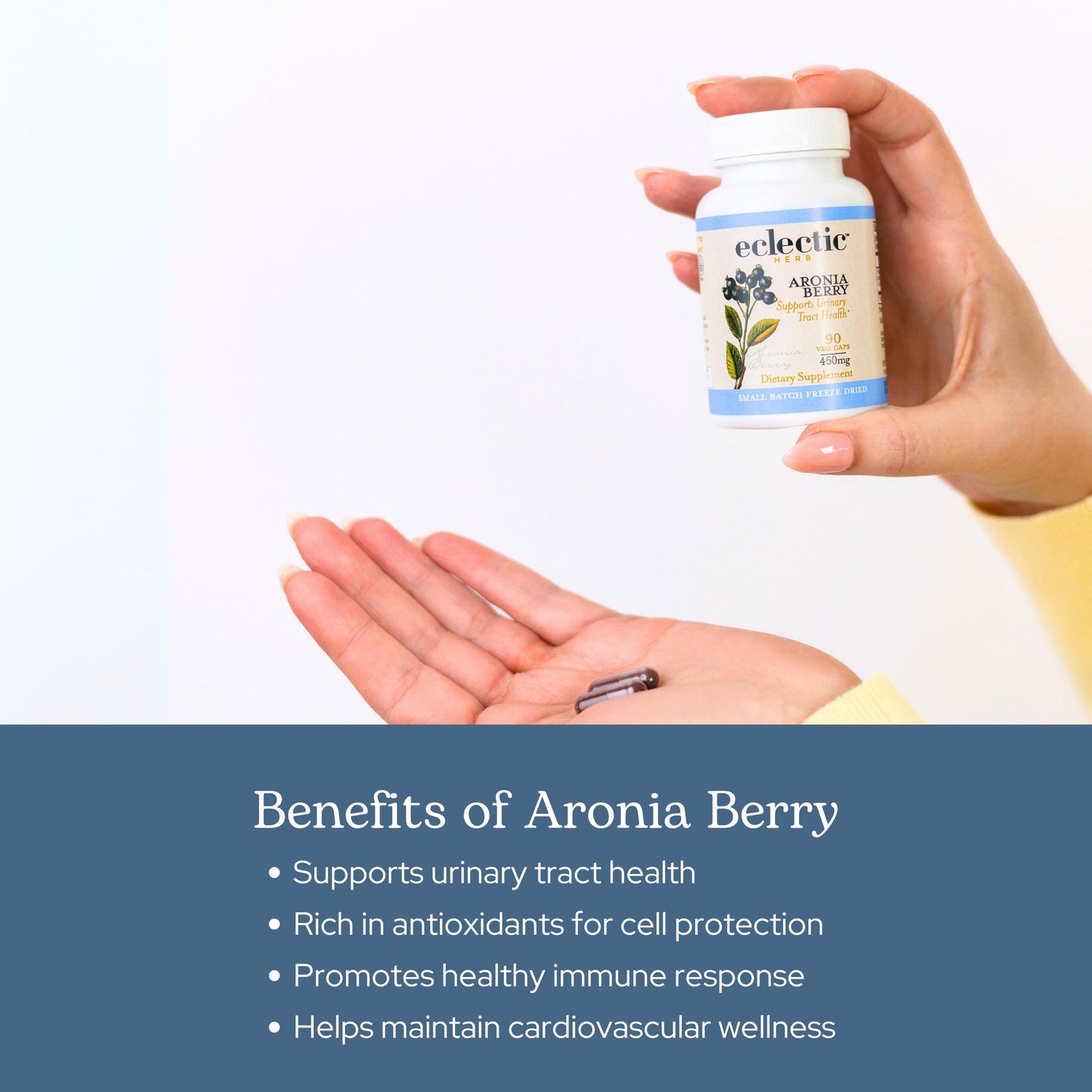 Eclectic Institute Raw Freeze-Dried Organic Aronia Berry Capsules, 90 Count